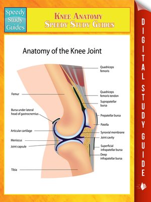 cover image of Knee Anatomy